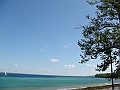Western Michigan [2010] 651